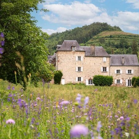 La Demeure Du Comte Bed and Breakfast Marcillac-Vallon Exteriör bild