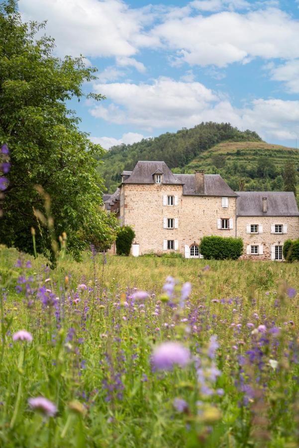 La Demeure Du Comte Bed and Breakfast Marcillac-Vallon Exteriör bild